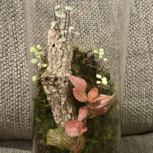 Terrariums - Level 3