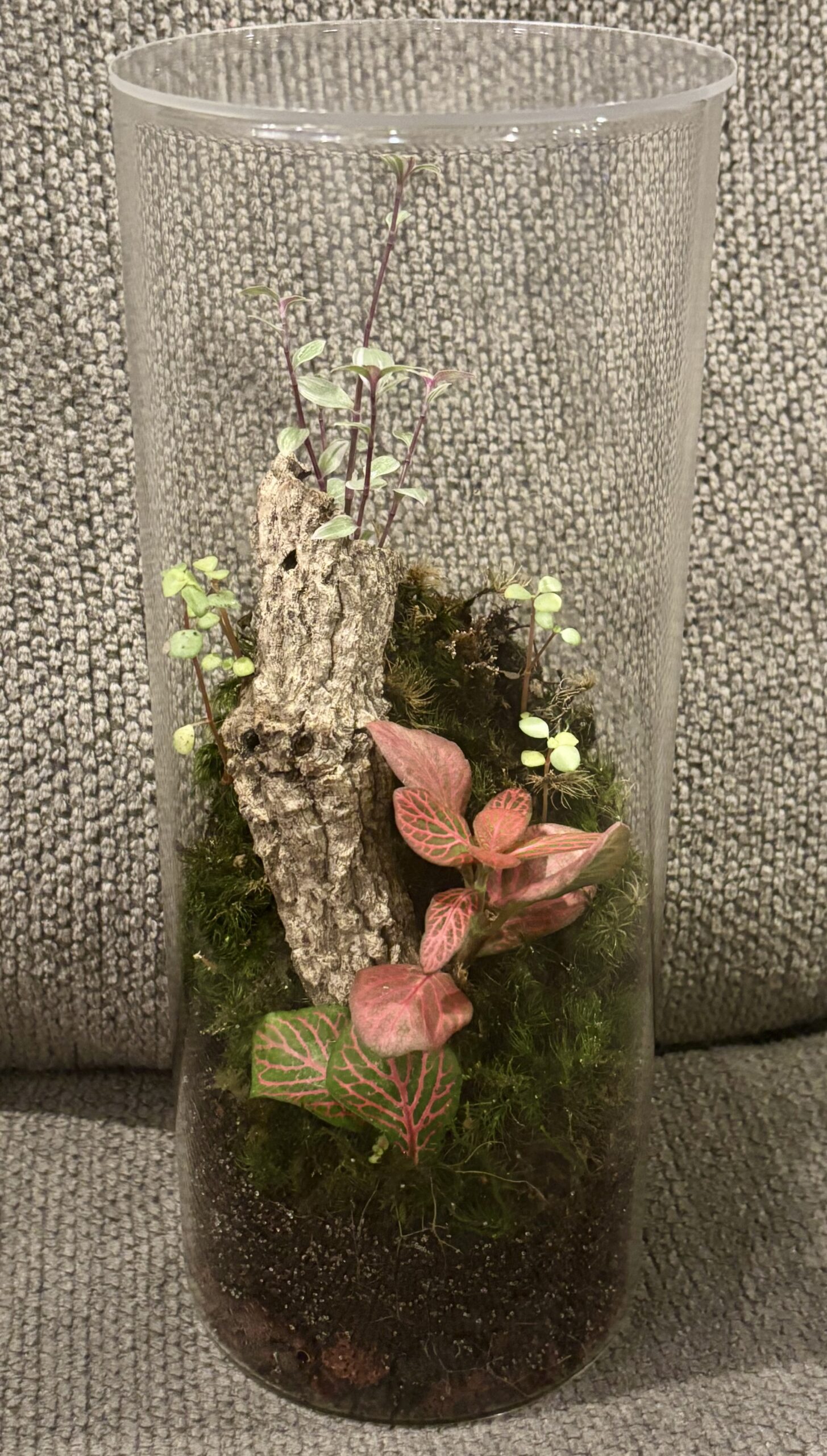 Terrariums - Level 3